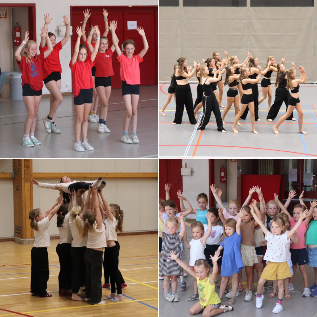 Aanbod dansstages 2026 (zonder&nbsp;overnachting)